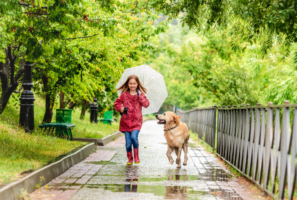 下雨狗狗也需要運動